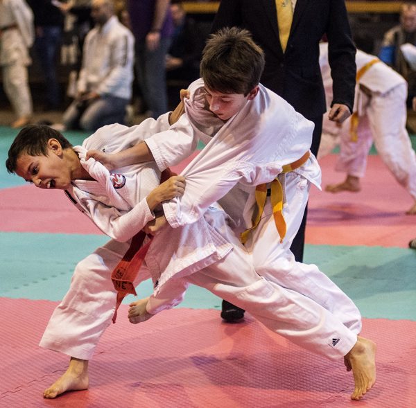 judo2 (1)